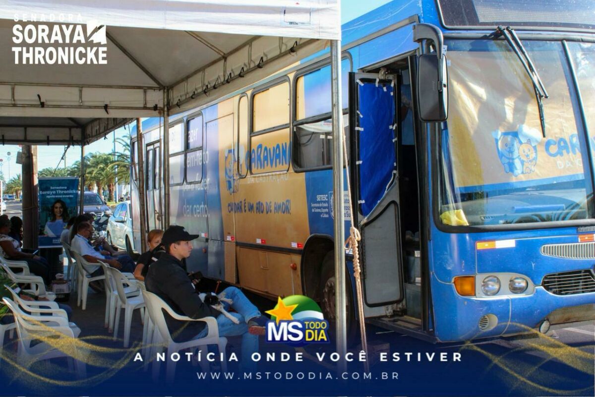 Imagem da Galeria